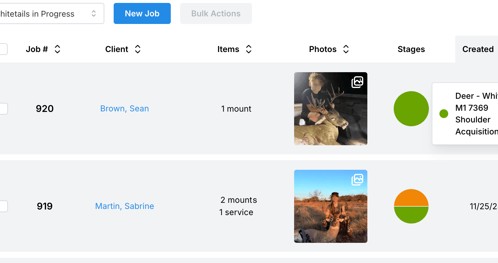 Job intake screen in MountMonitor showing job details and specimen information